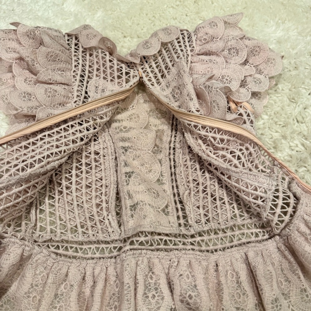 Blush Pink Lace Ruffle Top - Picture 5 of 5